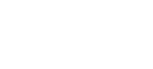 Brighton Group Logo White